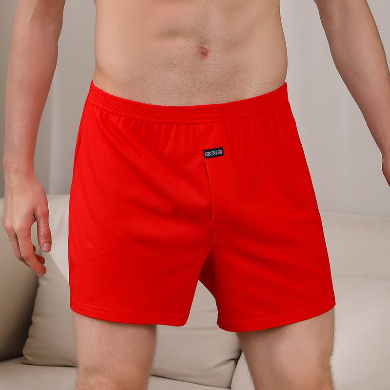 1 قطعة ملابس داخلية للرجال آرو - مراجعة Boxer Brief Pack Cotton وسعره